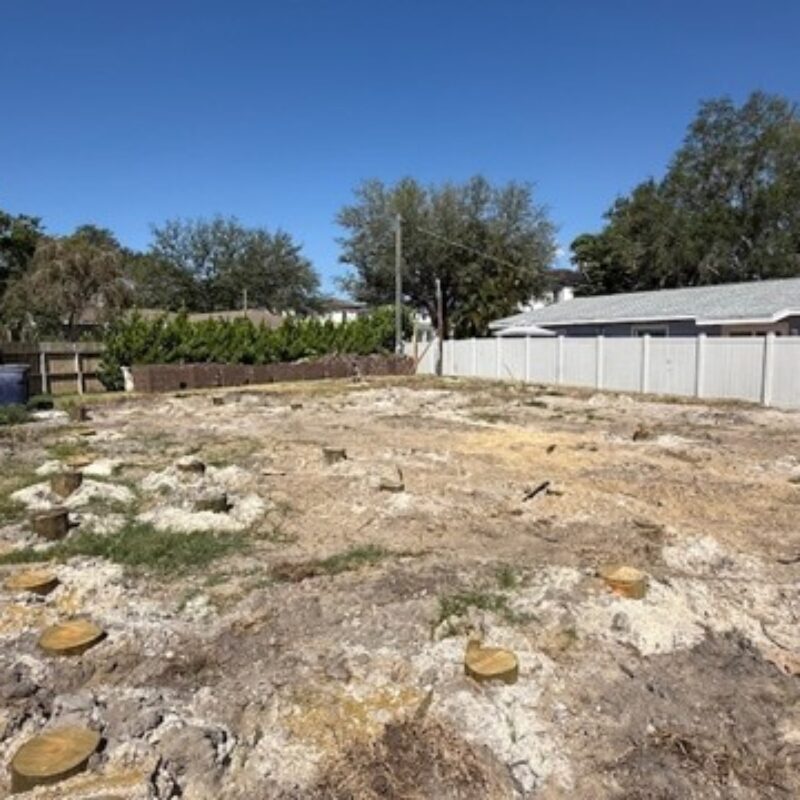 Picture1